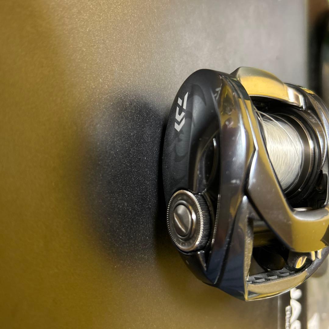 ダイワ タトゥーラ ベイトリール 7.3:1