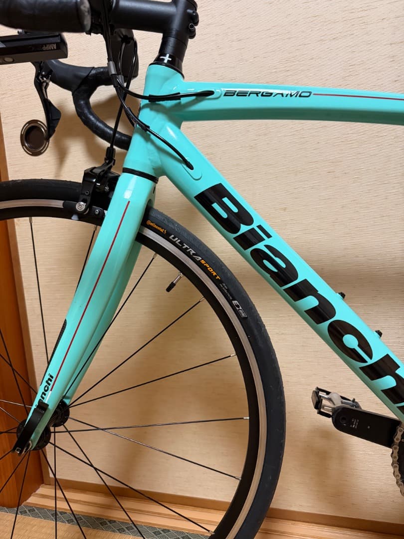 最終値下げ　Bianchi BERGAMO フレーム　50cm