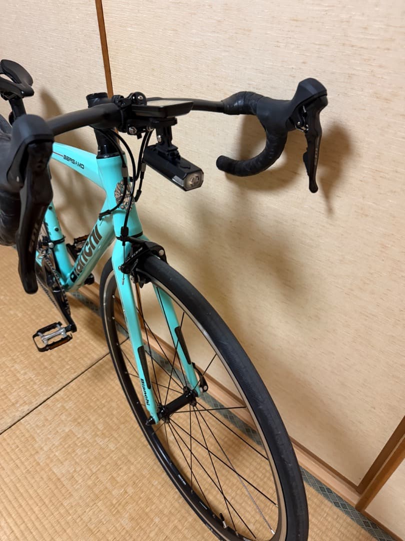 最終値下げ　Bianchi BERGAMO フレーム　50cm