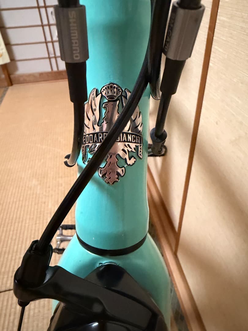 最終値下げ　Bianchi BERGAMO フレーム　50cm