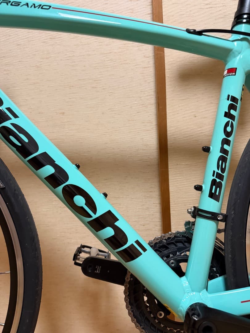 最終値下げ　Bianchi BERGAMO フレーム　50cm