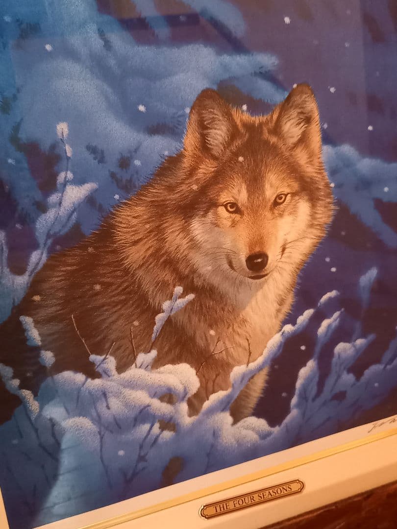 a*3様 ジョウナイトウ　オオカミ　ウルフ　　直筆サイン入り　狼　限定　95％オ