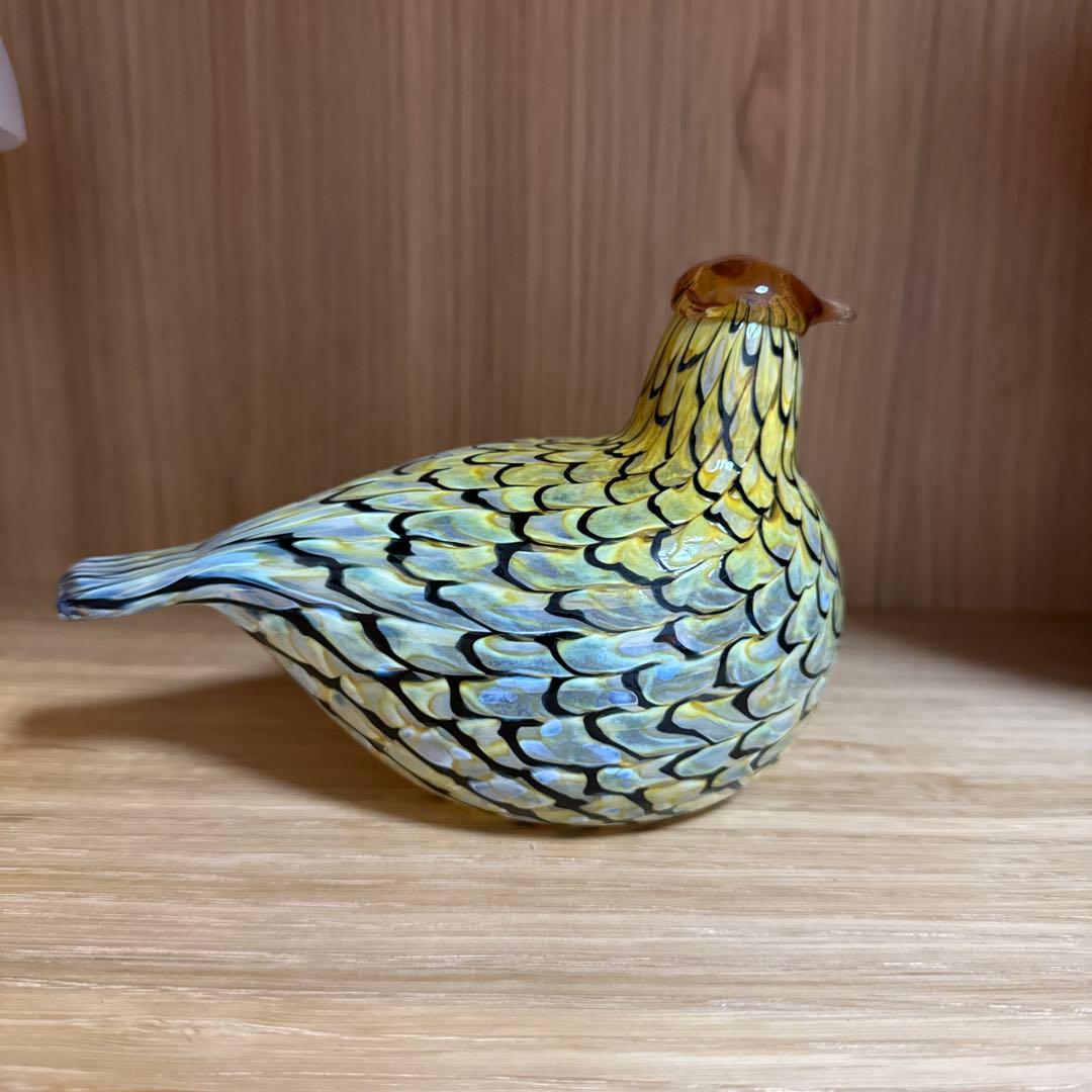 イッタラ　オイバトイッカバード　サマーグロース　2006年