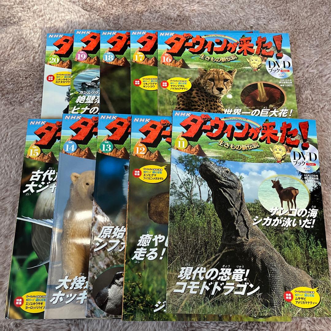 「ダーウィンが来た！DVDブック 1〜30巻」