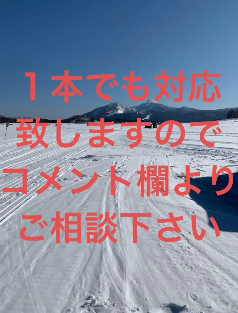 オススメ ワカサギ ステンレス穂先 全長約260ミリ 2本 オススメ