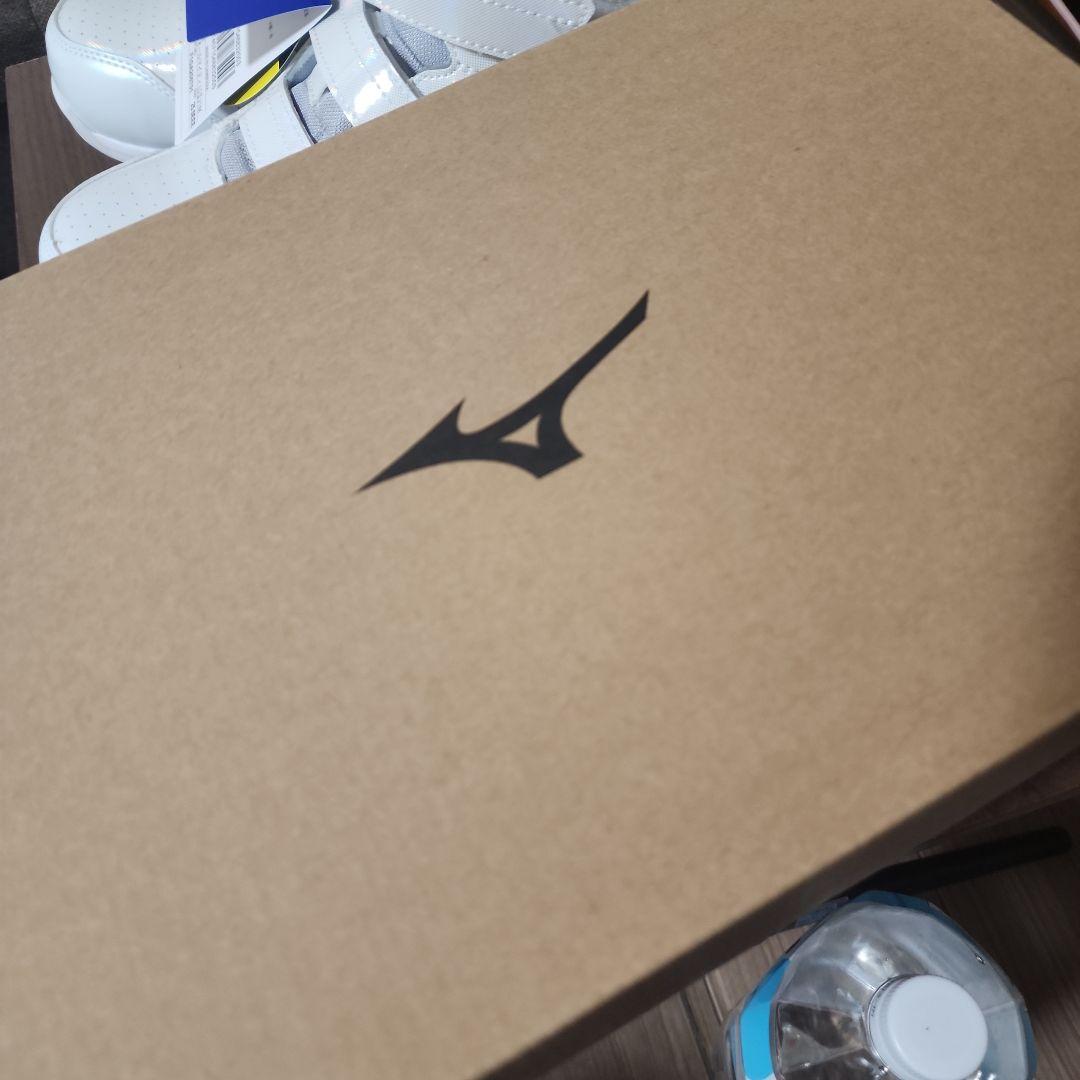 ALMIGHTY LSI 21M LTD 限定デザイン 安全靴 25cm EEE