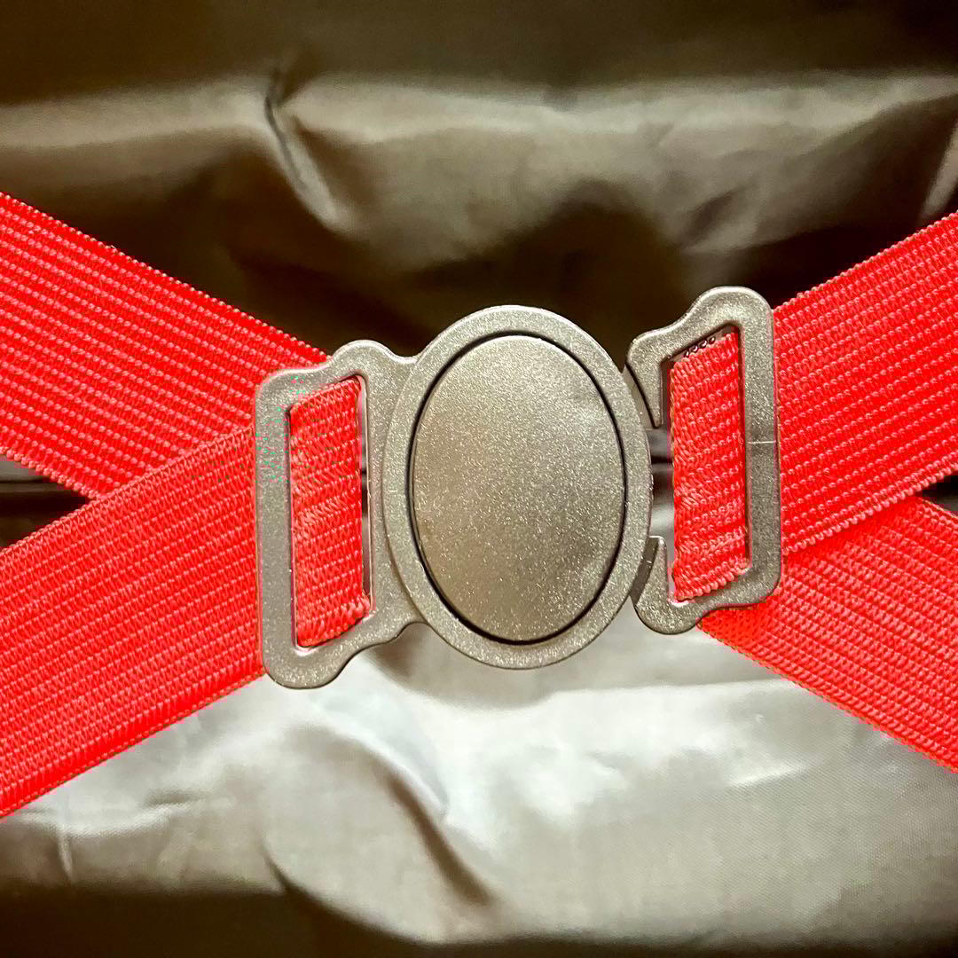 日本未入荷　ディズニー　disney ミニーマウス キャリーケース スーツケース