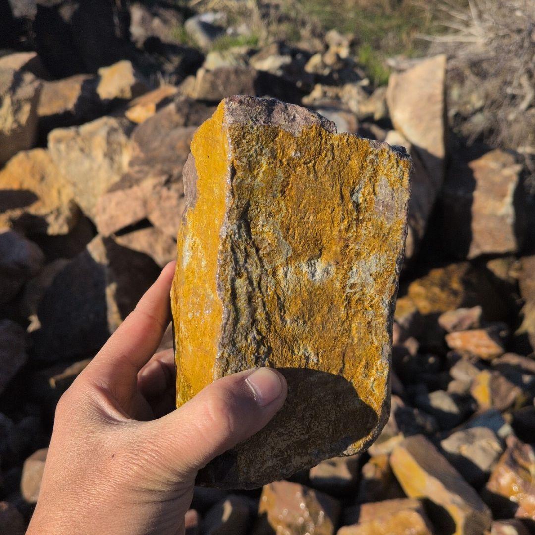 新潟産　桜石　300キロ　庭石　鑑賞石 石　石材　割栗石　庭　ガーデニング