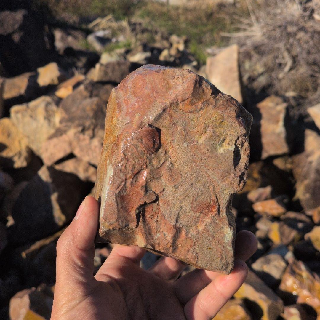 新潟産　桜石　300キロ　庭石　鑑賞石 石　石材　割栗石　庭　ガーデニング