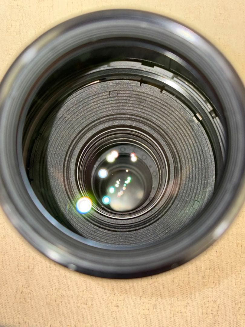 専用 Canon EF100-400mm F4.5-5.6L IS II USM