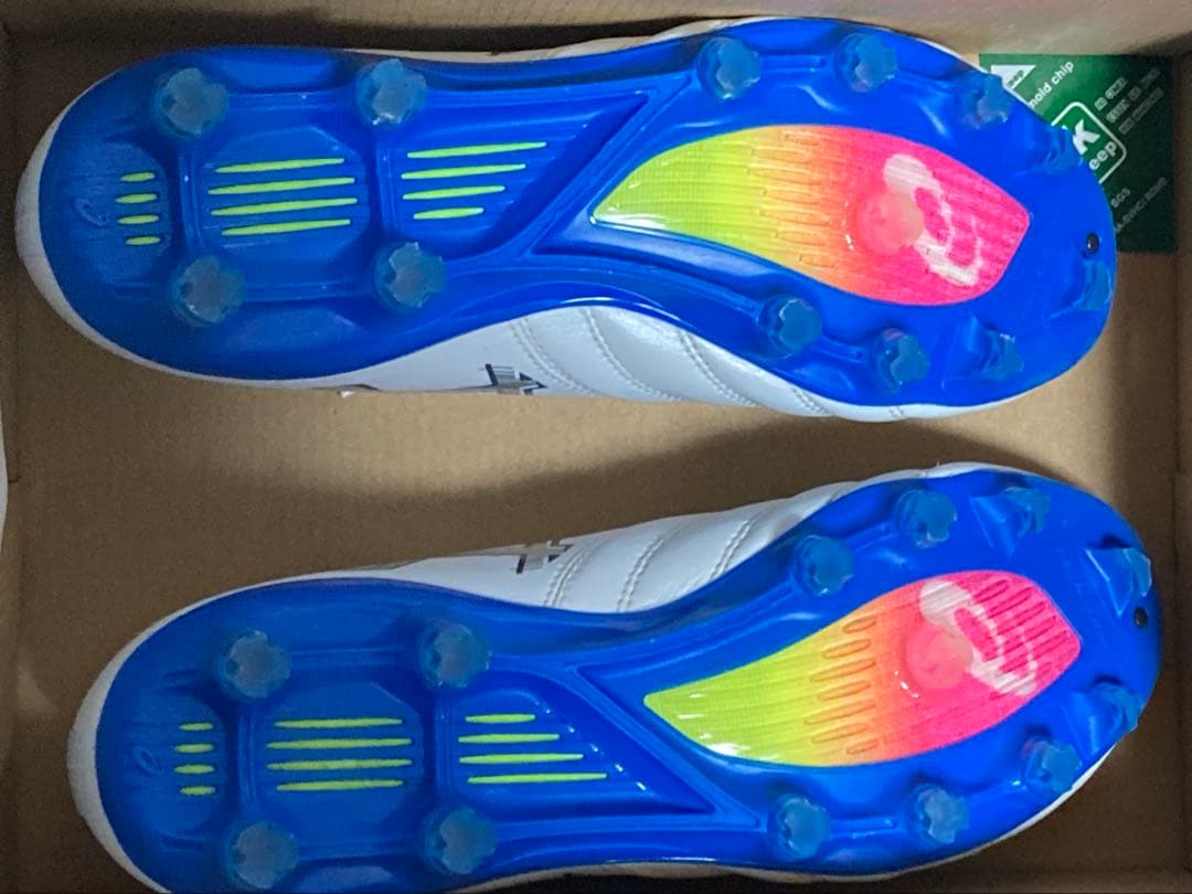 シューズ asics DS-LIGHT x-fly pro3 25.5cm