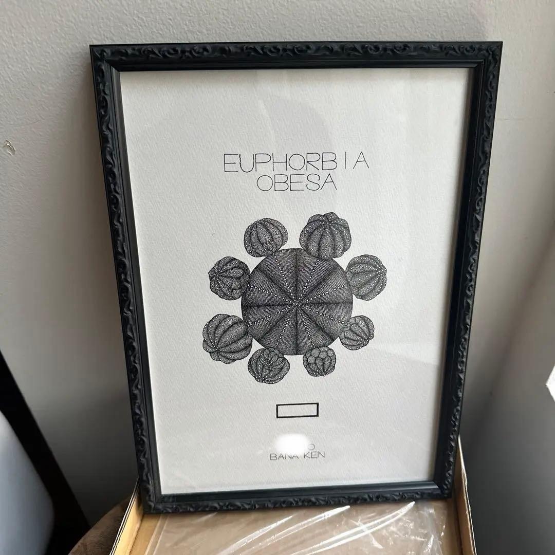 ボタナイズ バナケン　点描画　絵　ポスター　塊根植物　サボテン　数量限定