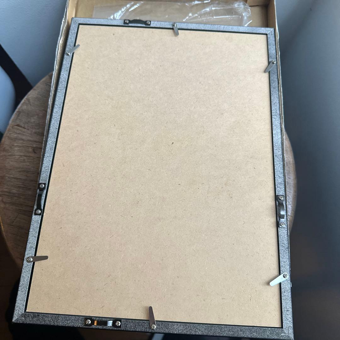 ボタナイズ バナケン　点描画　絵　ポスター　塊根植物　サボテン　数量限定