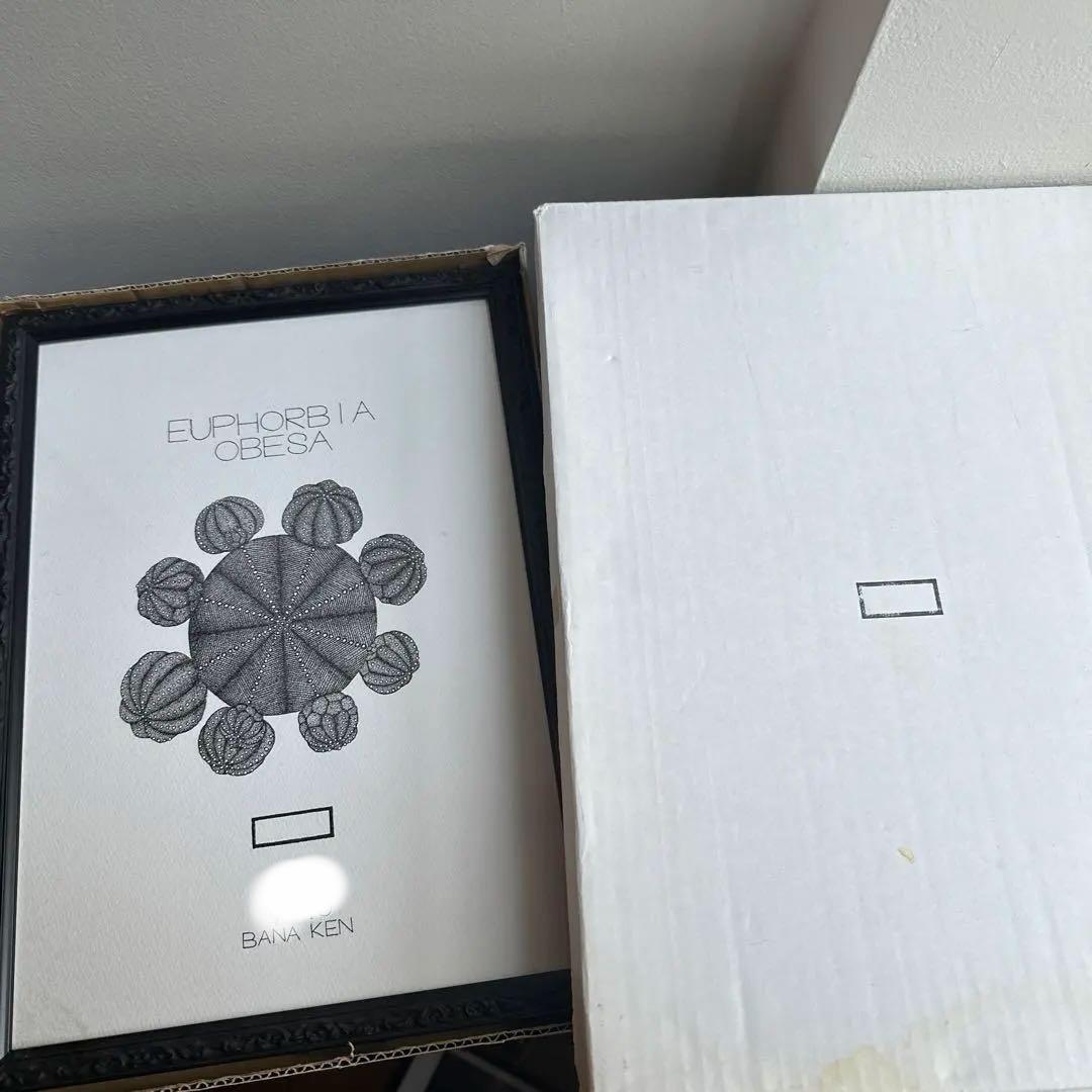 ボタナイズ バナケン　点描画　絵　ポスター　塊根植物　サボテン　数量限定