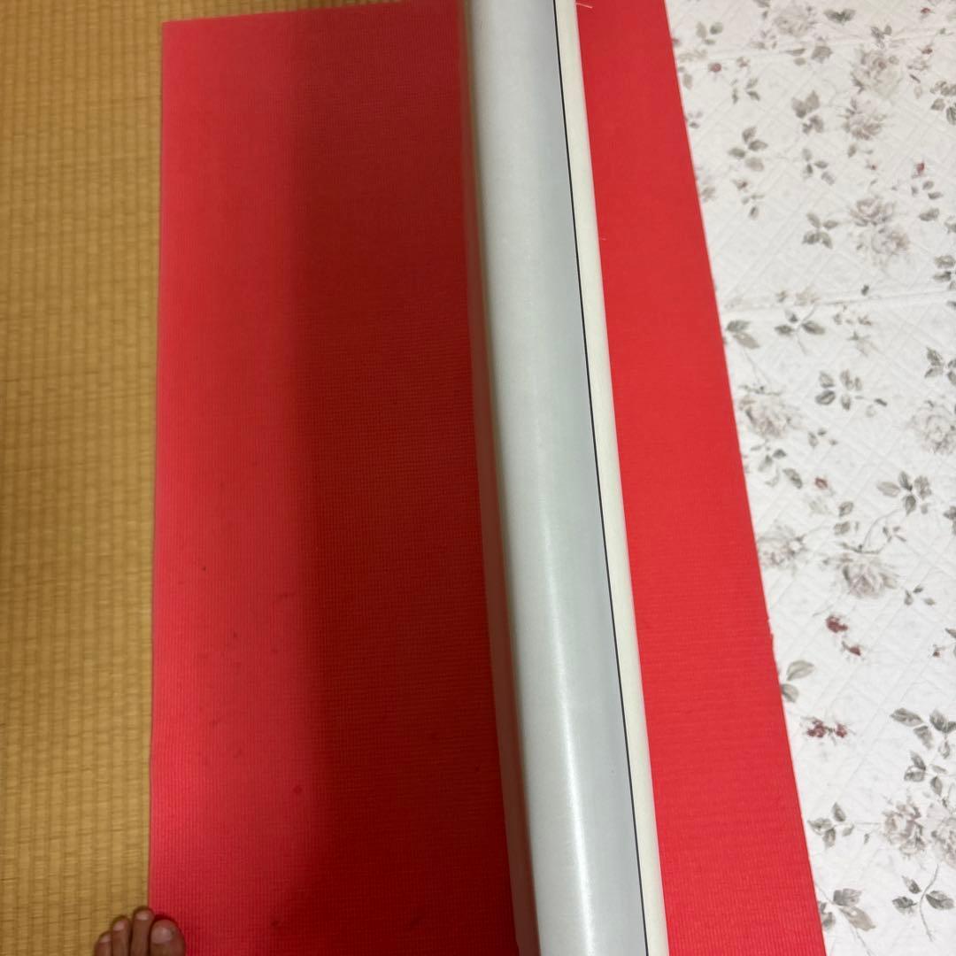 AIPA 7'0\" ホワイト/グレー　ビッグボーイスティング