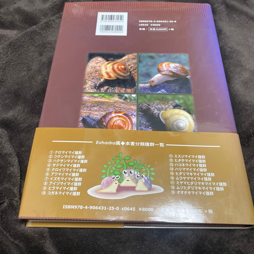 かたつむりの世界 マイマイ属