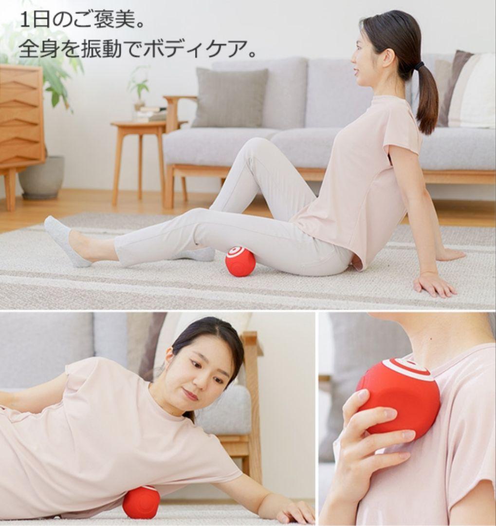 シェイプツインボール　スタイリーボール　フィットネス　オアシス　東急スポーツ