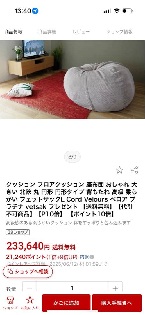 VetsakフェットサックL 高級フロアクッション 相場200,000万前後