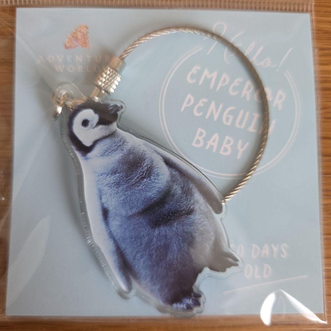 アドベンチャーワールド エンペラーペンギン アクリルワイヤー