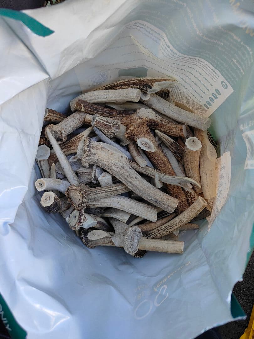 鹿の角 端材 約25kg 北海道産