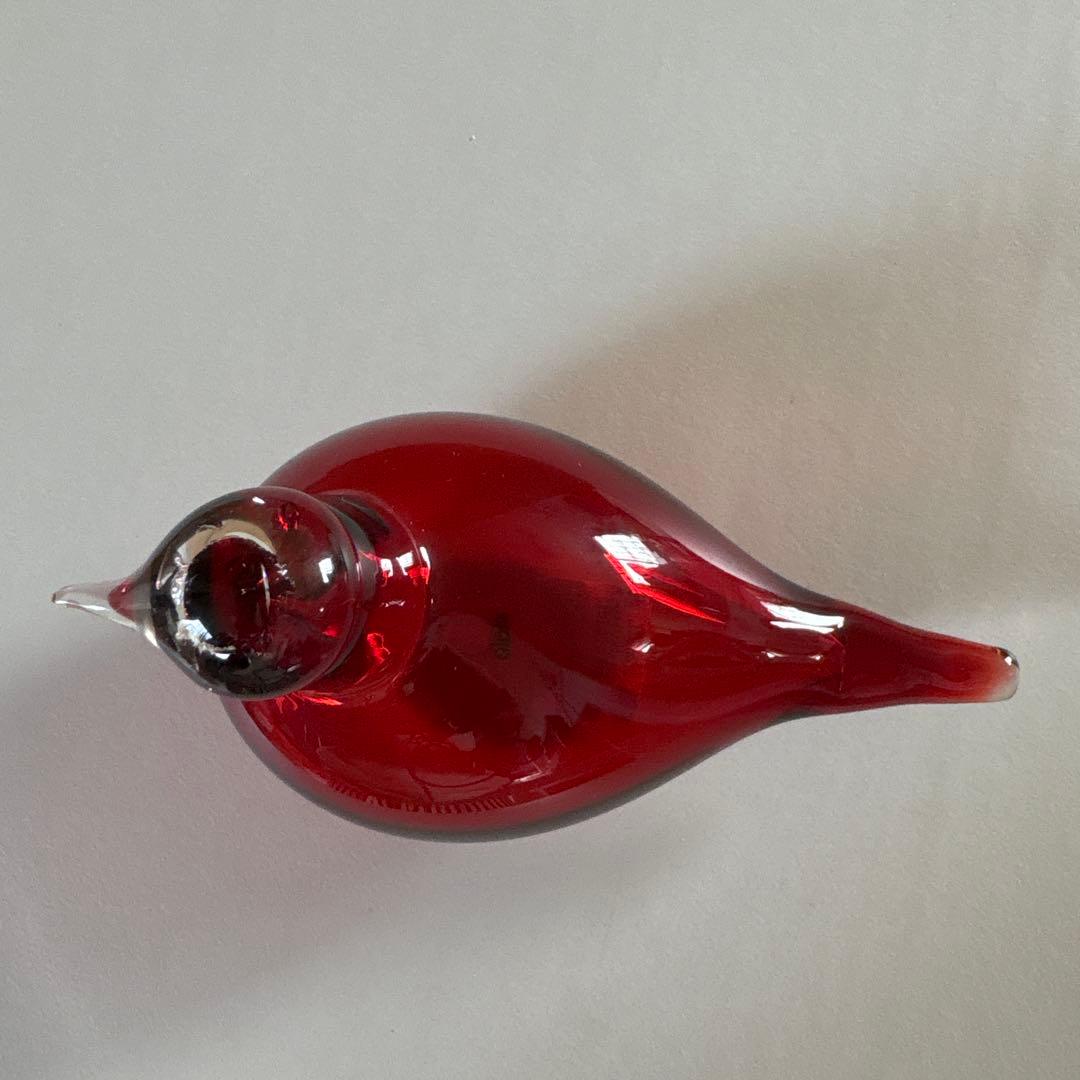 イッタラバード リトルターン Little Tern クランベリー　scope