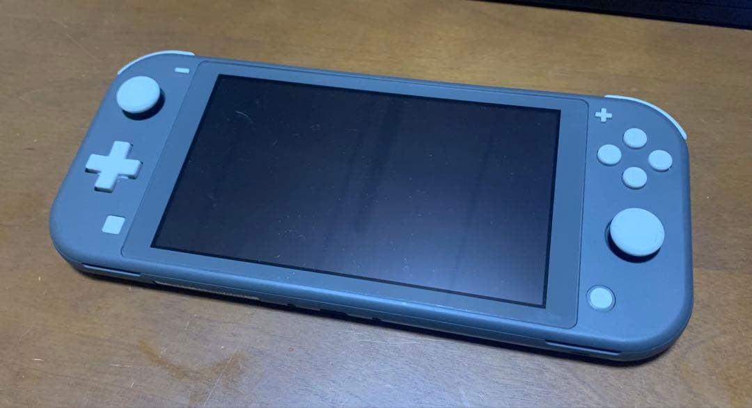 Nintendo Switch Lite グレー 本体とACアダプター付き
