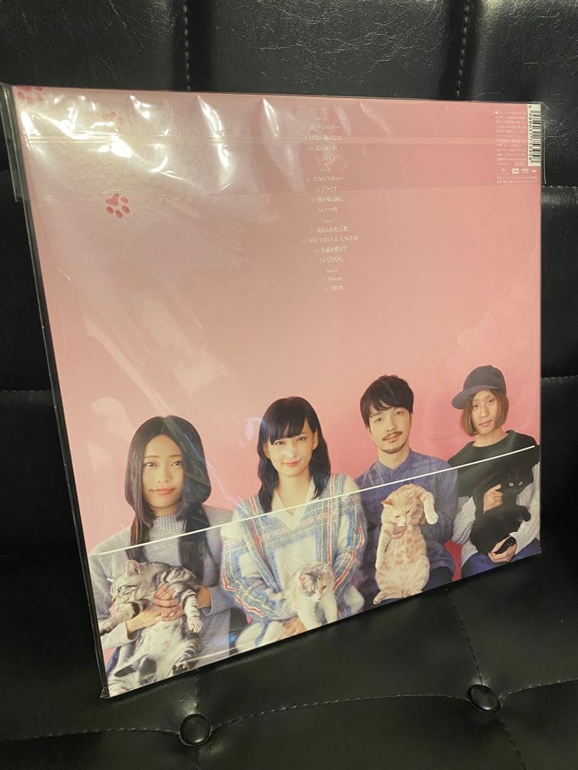 新品⭐︎きのこ帝国 猫とアレルギー アナログ LP レコード