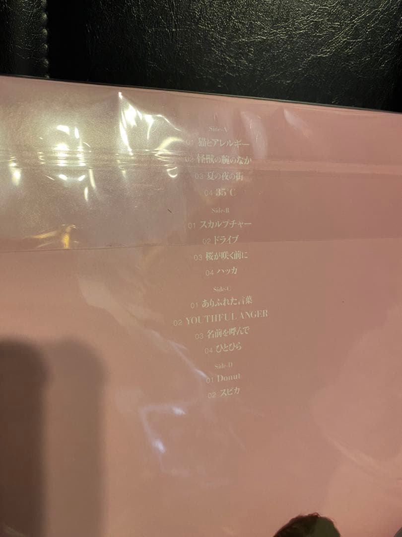 新品⭐︎きのこ帝国 猫とアレルギー アナログ LP レコード