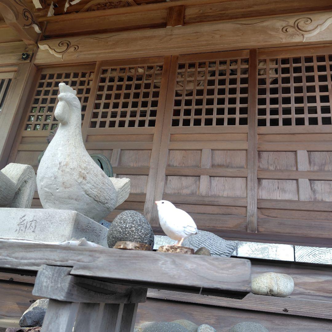 小さなバードカービング ヒメウズラ 小鳥 木彫 - メルカリ