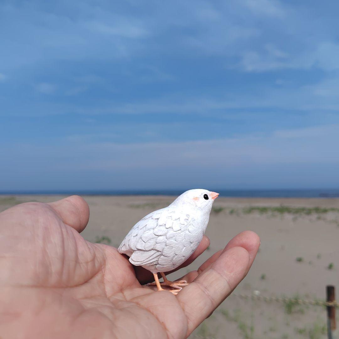 小さなバードカービング ヒメウズラ 小鳥 木彫 - メルカリ