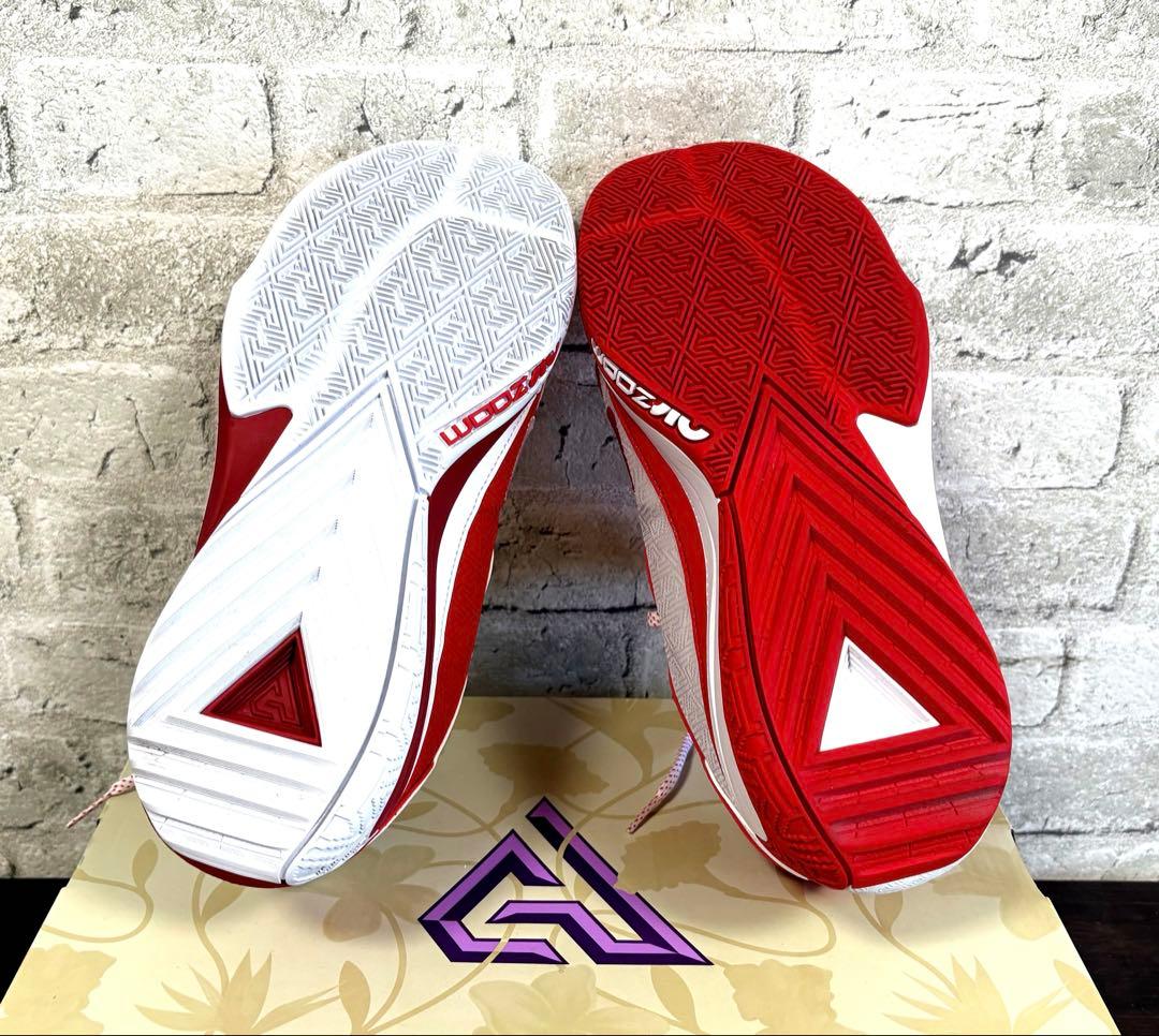 ◆極美品◆Nike Zoom Freak 5 ASW EPバスケットボール