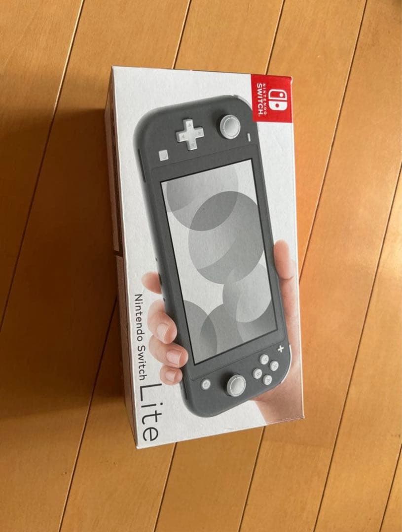 Nintendo Switch Lite グレー 本体　充電器、ケース付き