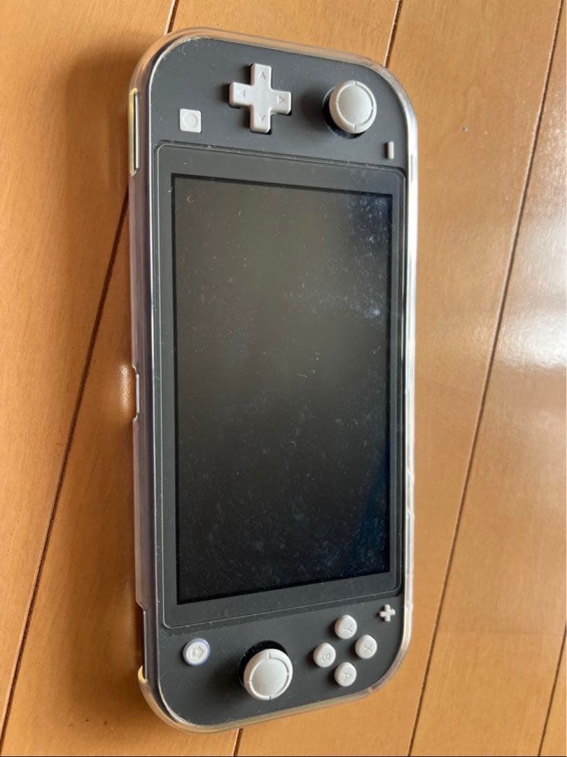 Nintendo Switch Lite グレー 本体　充電器、ケース付き