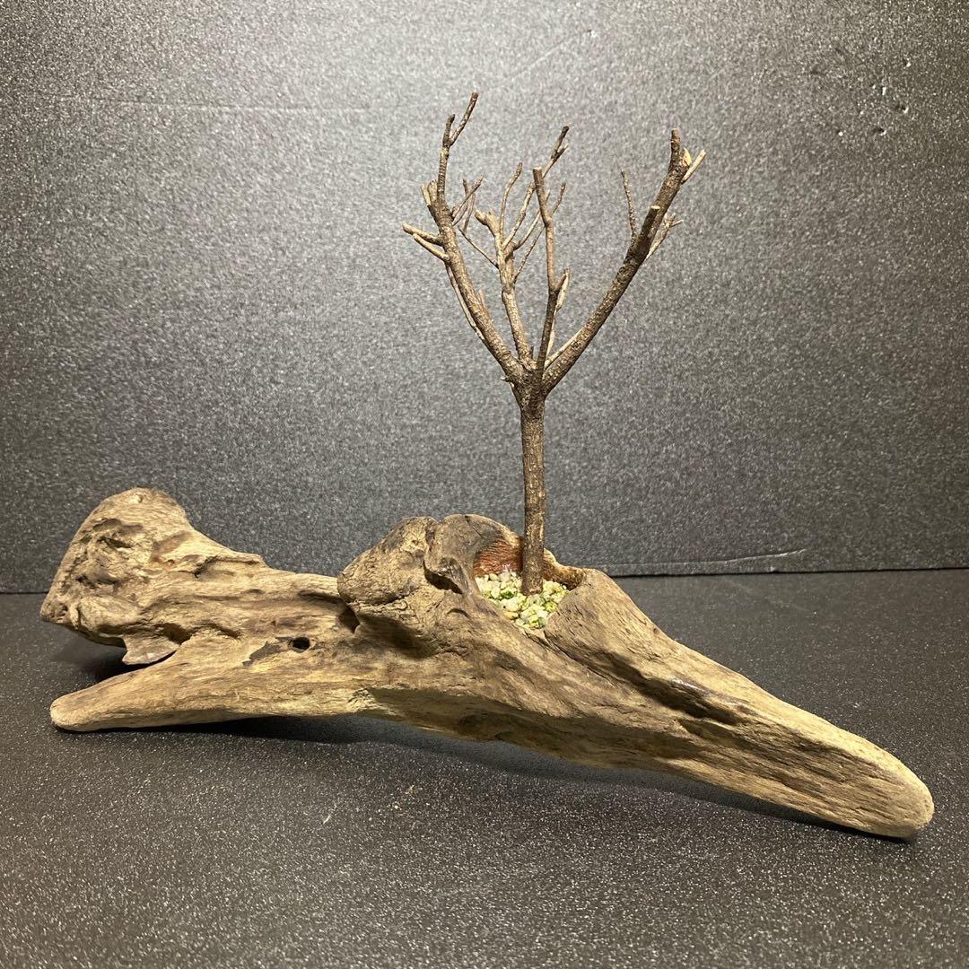 流木⚫︎オブジェ 置物 インテリア 天然木 アート - メルカリ