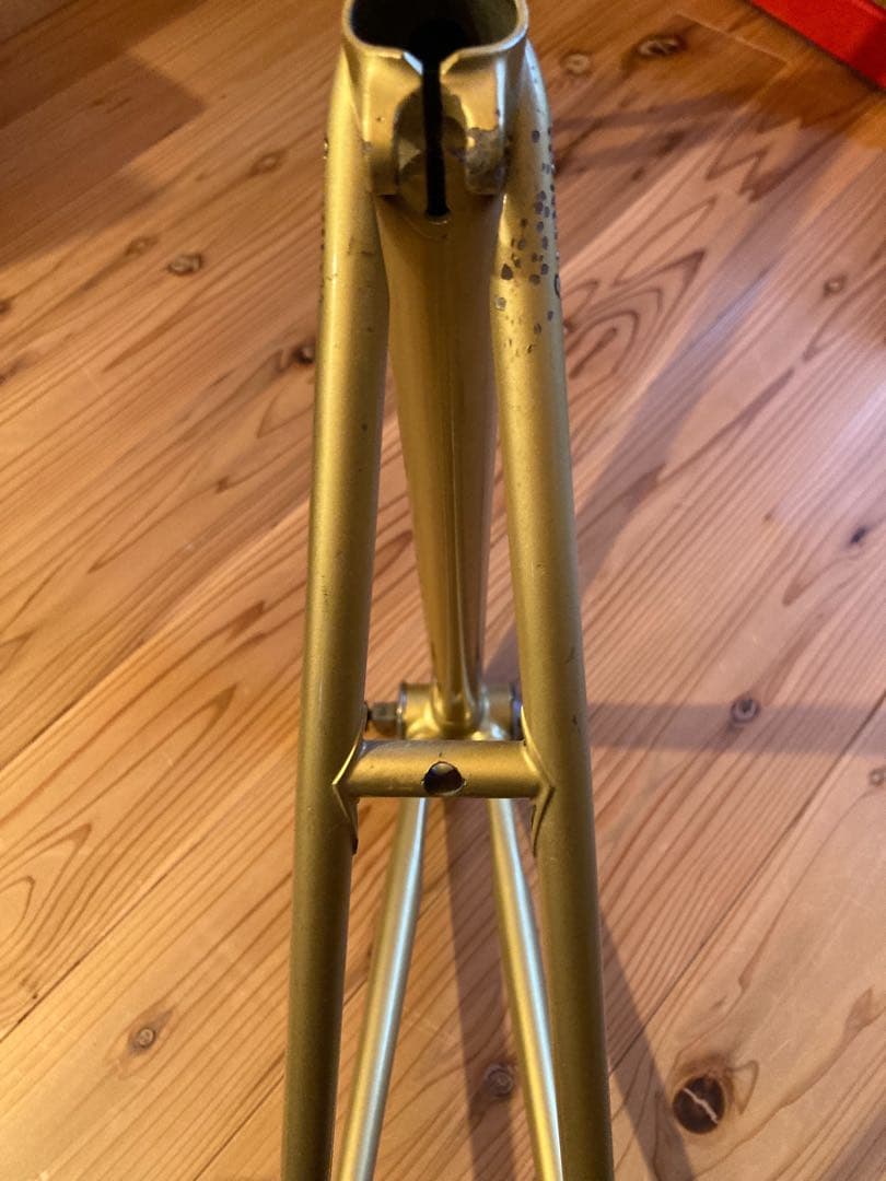 NJS 競輪車　gan well ピストフレーム　 澤亀浩司プロモデル