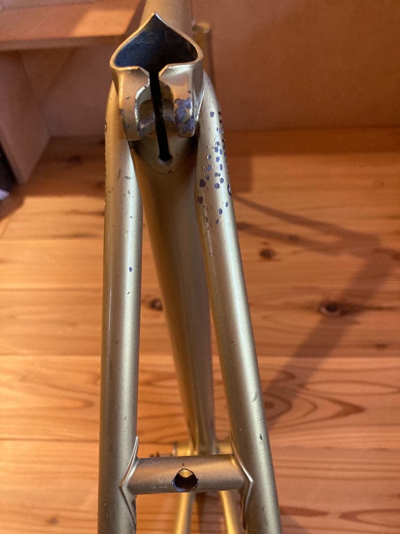 NJS 競輪車　gan well ピストフレーム　 澤亀浩司プロモデル