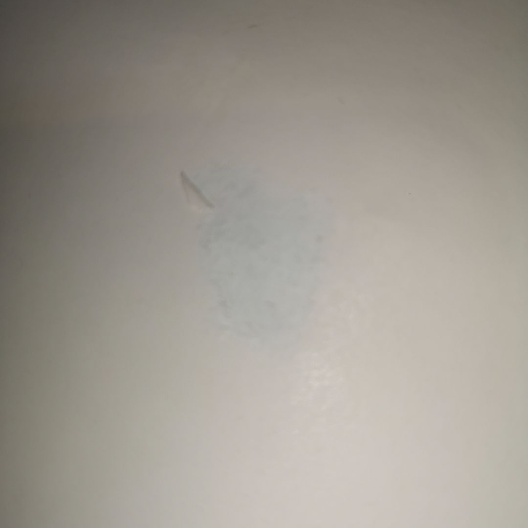 SCANDAL 直筆サイン入り写真 DVD ポスター セット