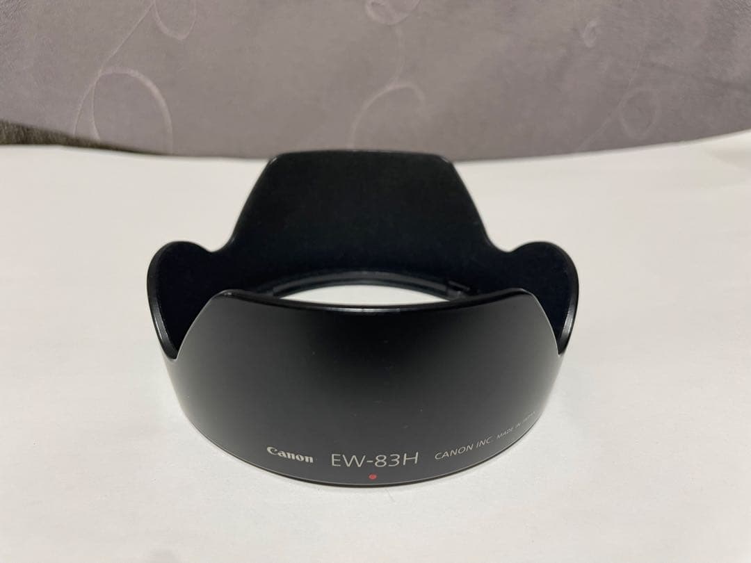 Canon EF 24-105mm F4 L IS USM (フィルター付き)