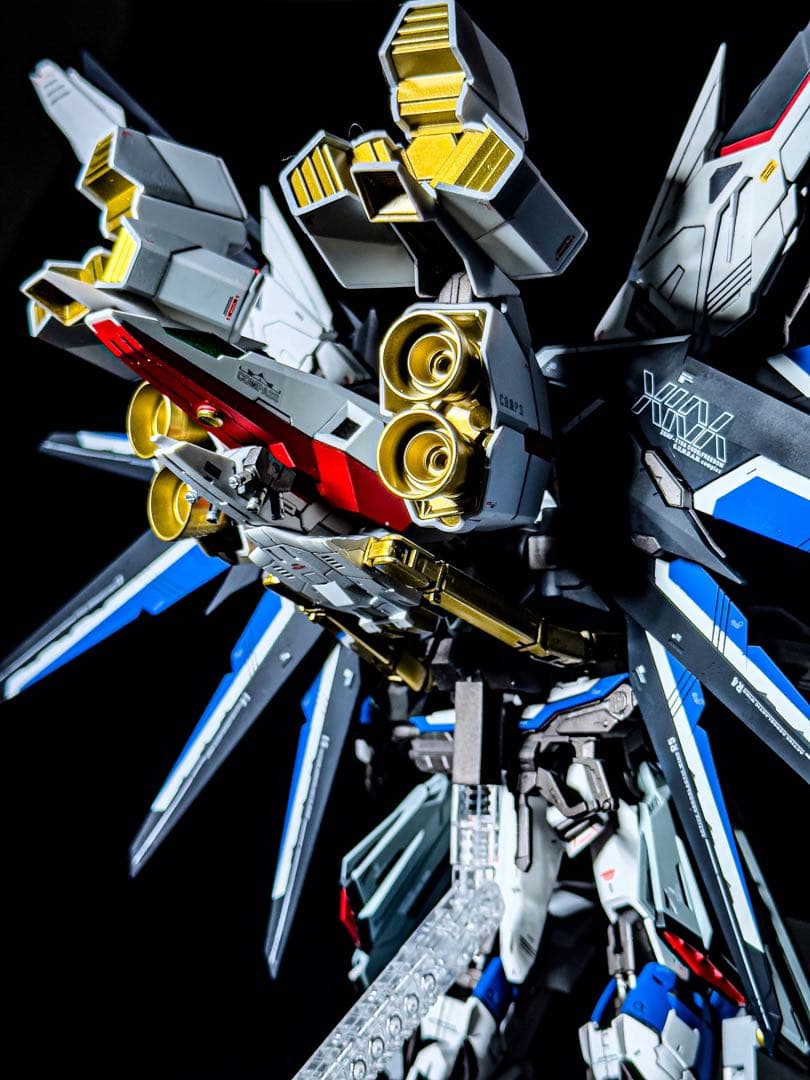 MG1/100 ライジングフリーダムガンダム ゼウスシルエット ミキシング