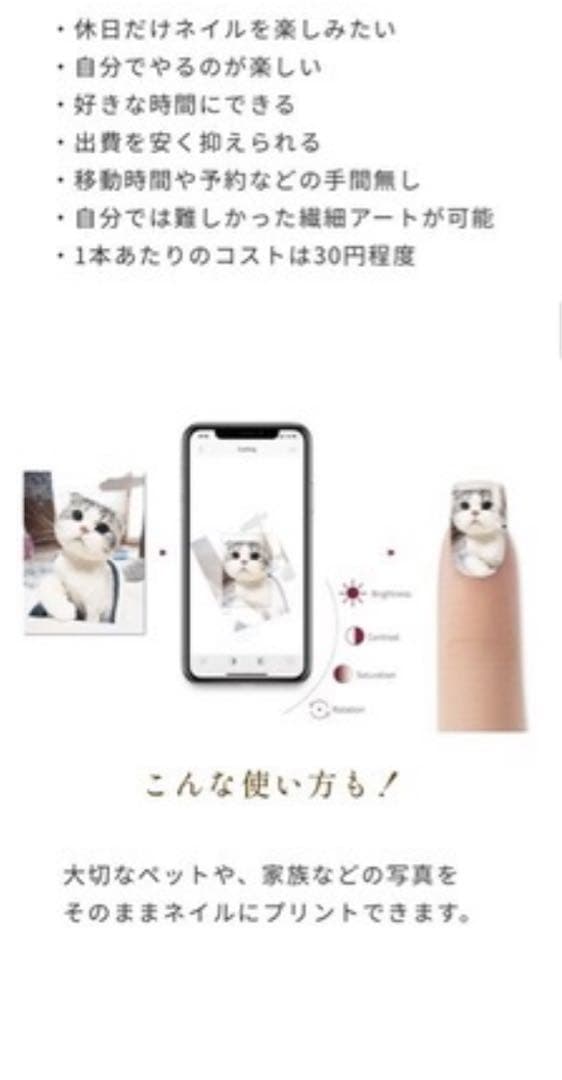 オートネイルラビット！デザイン豊富⭐︎