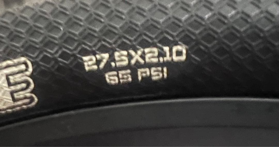 自転車本体 USA Nireeka Homie Carbon 500w eMTB