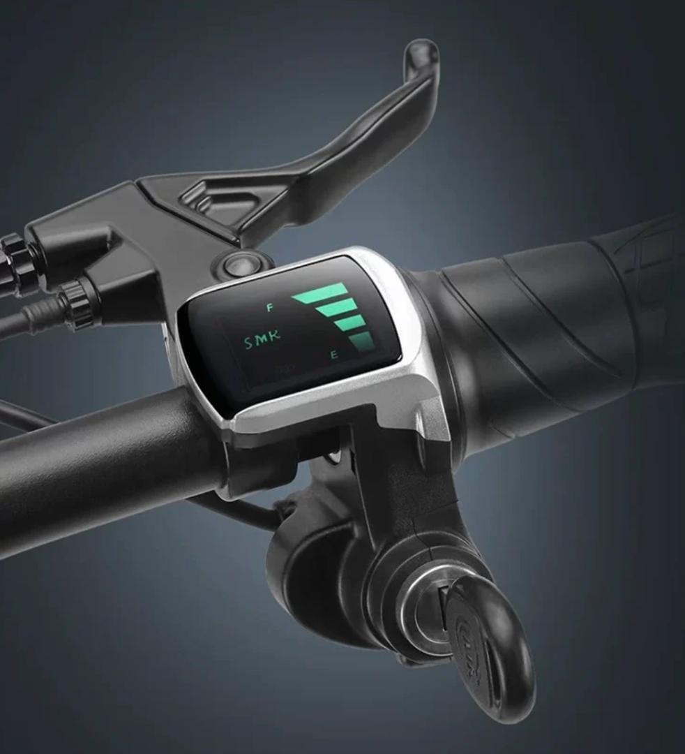 Baicycle S2 Pro 原付一種 新古車 前後サスペンション