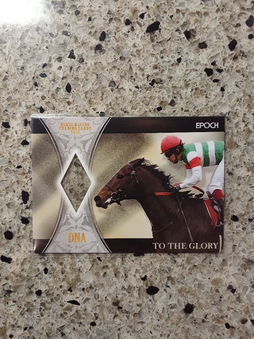 EPOCH 2019 ホースレーシング トゥザグローリー DNAカード /50 限定品