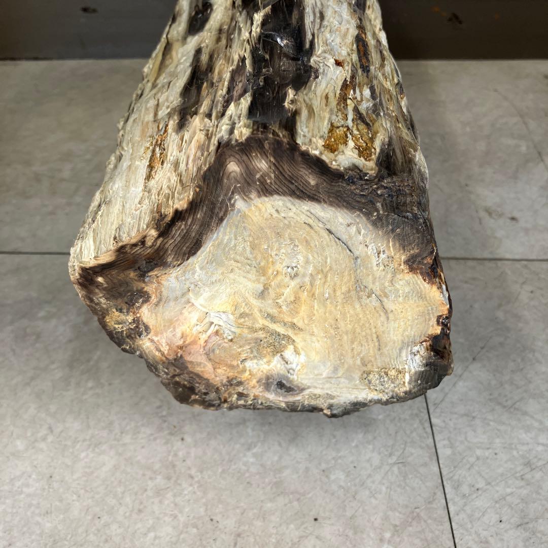 E-4 昭和レトロ 珪化木 化石 木の化石 鑑賞石 置物 飾り インテリア