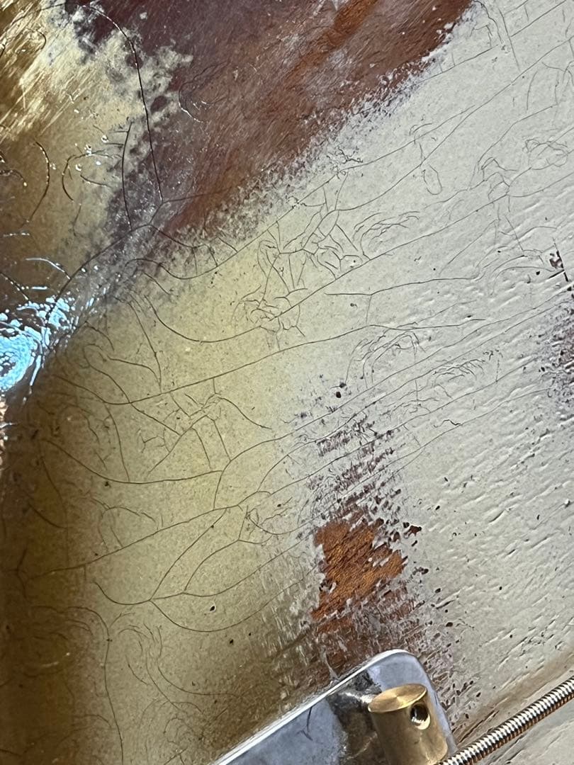 DeliciousTaylormade ANTIGUA Bird JM - メルカリ