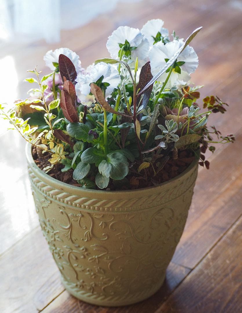 【お値下げ】アンティークシックなアメジストカラー寄せ植え