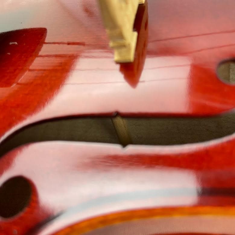 極一枚虎杢●鈴木バイオリン● No.300 1/4 1997年 美品 良杢・良音