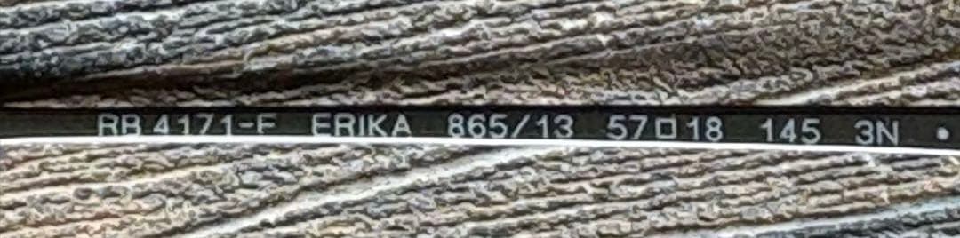 Ray-Ban レイバン ERIKA RB4171F 865/13 ブラウン