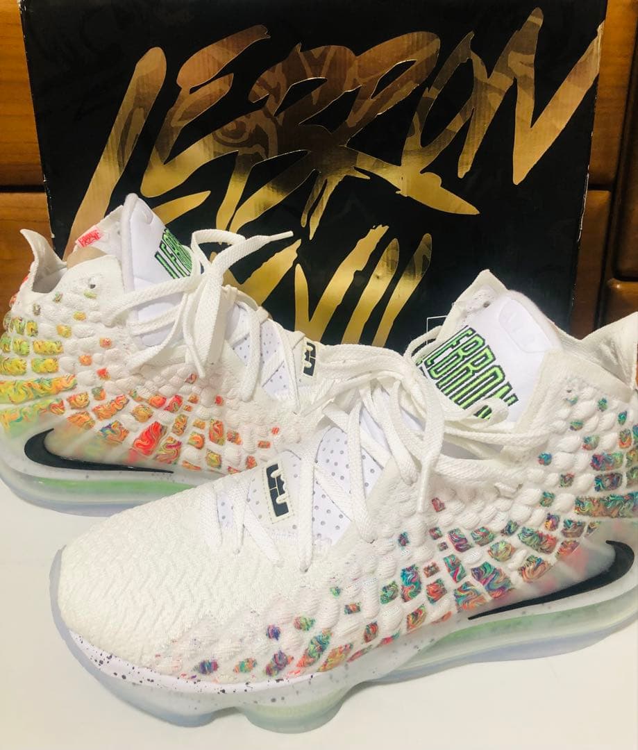 Nike LeBron 17 30センチ　新品未使用
