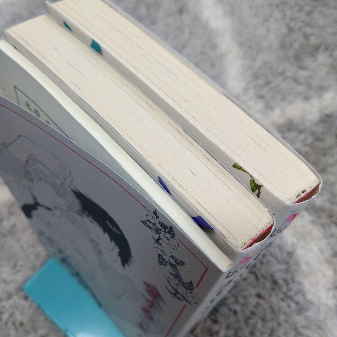 美しいこと　愛すること　木原音瀬　日高ショーコ